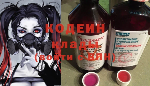ECSTASY Алзамай