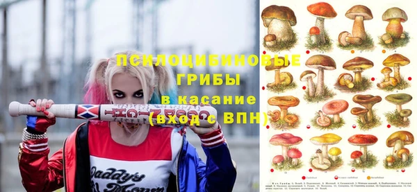 ECSTASY Алзамай