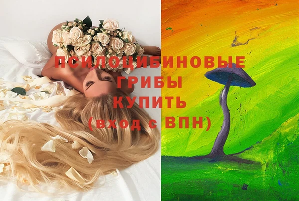 прущий лед Переславль-Залесский
