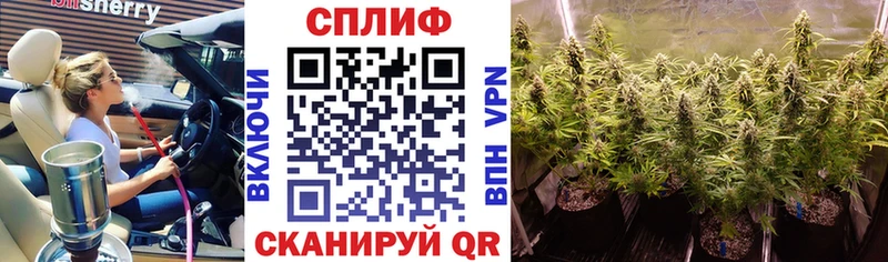 где найти   Тында  Бошки марихуана White Widow 